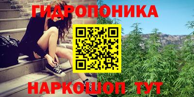 ГАЛЛЮЦИНОГЕННЫЕ ГРИБЫ Сланцы
