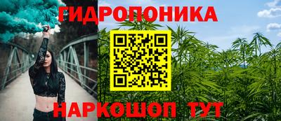 ГАЛЛЮЦИНОГЕННЫЕ ГРИБЫ Сланцы